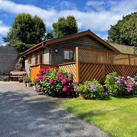 Swansea Log Cabin Pontardawe Exterior photo