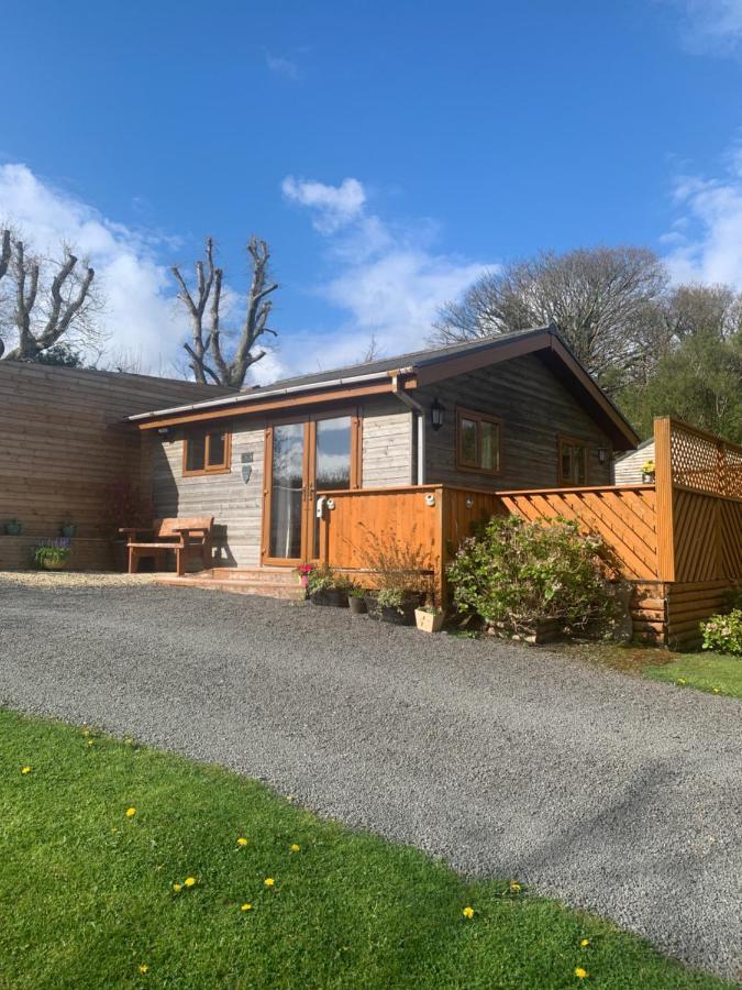 Swansea Log Cabin Pontardawe Exterior photo