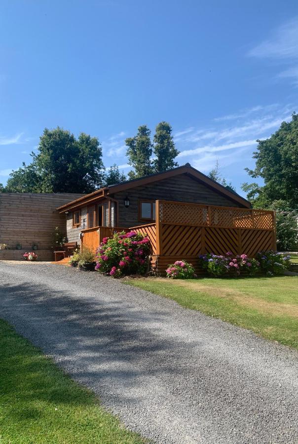 Swansea Log Cabin Pontardawe Exterior photo