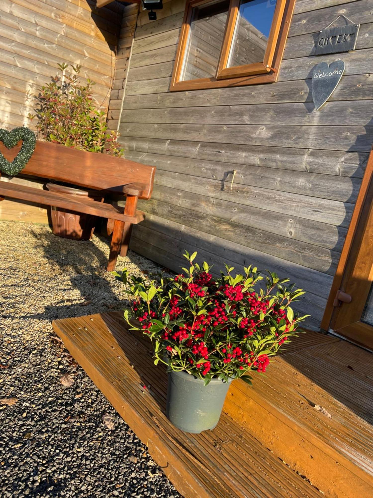 Swansea Log Cabin Pontardawe Exterior photo
