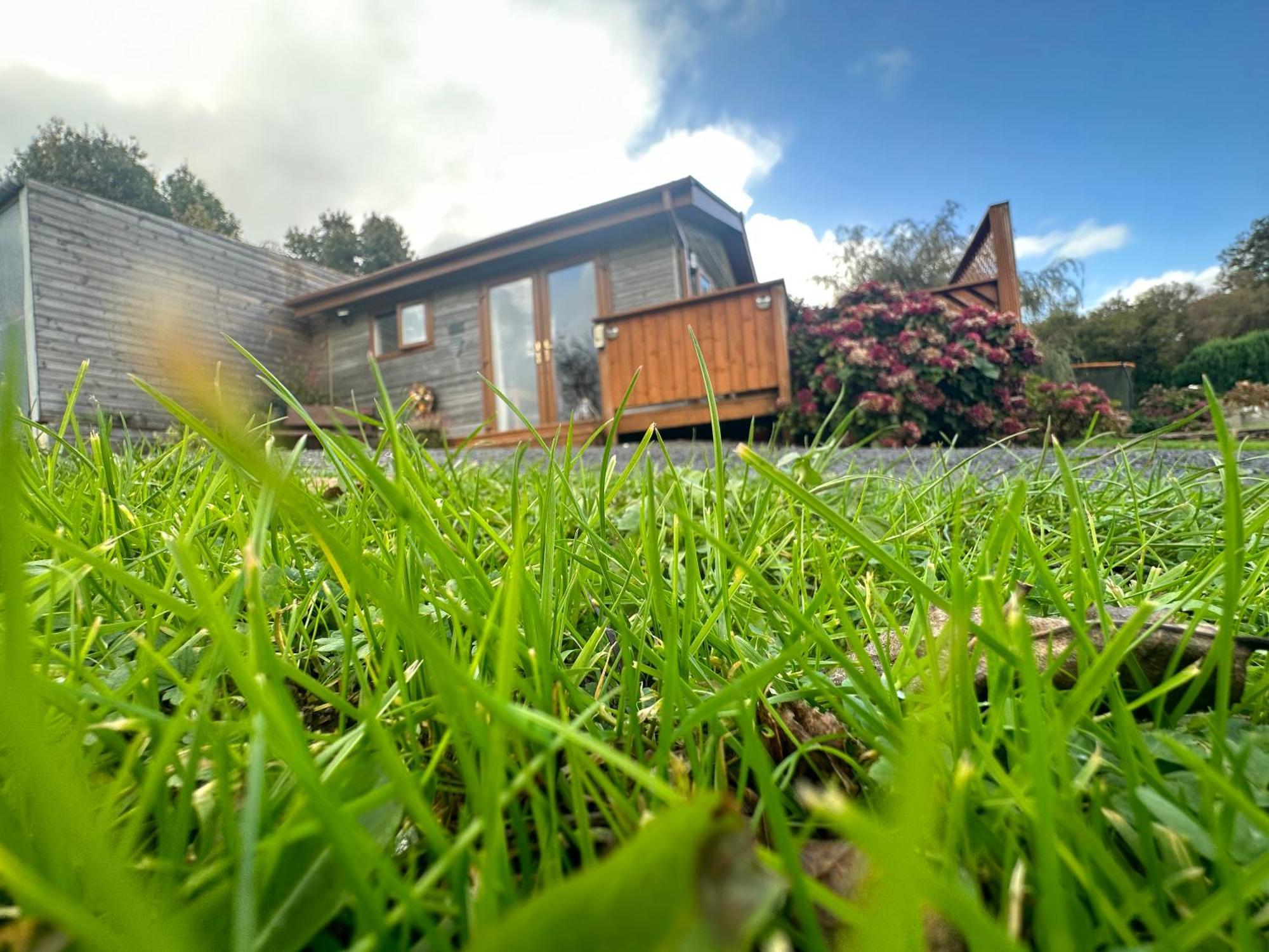Swansea Log Cabin Pontardawe Exterior photo