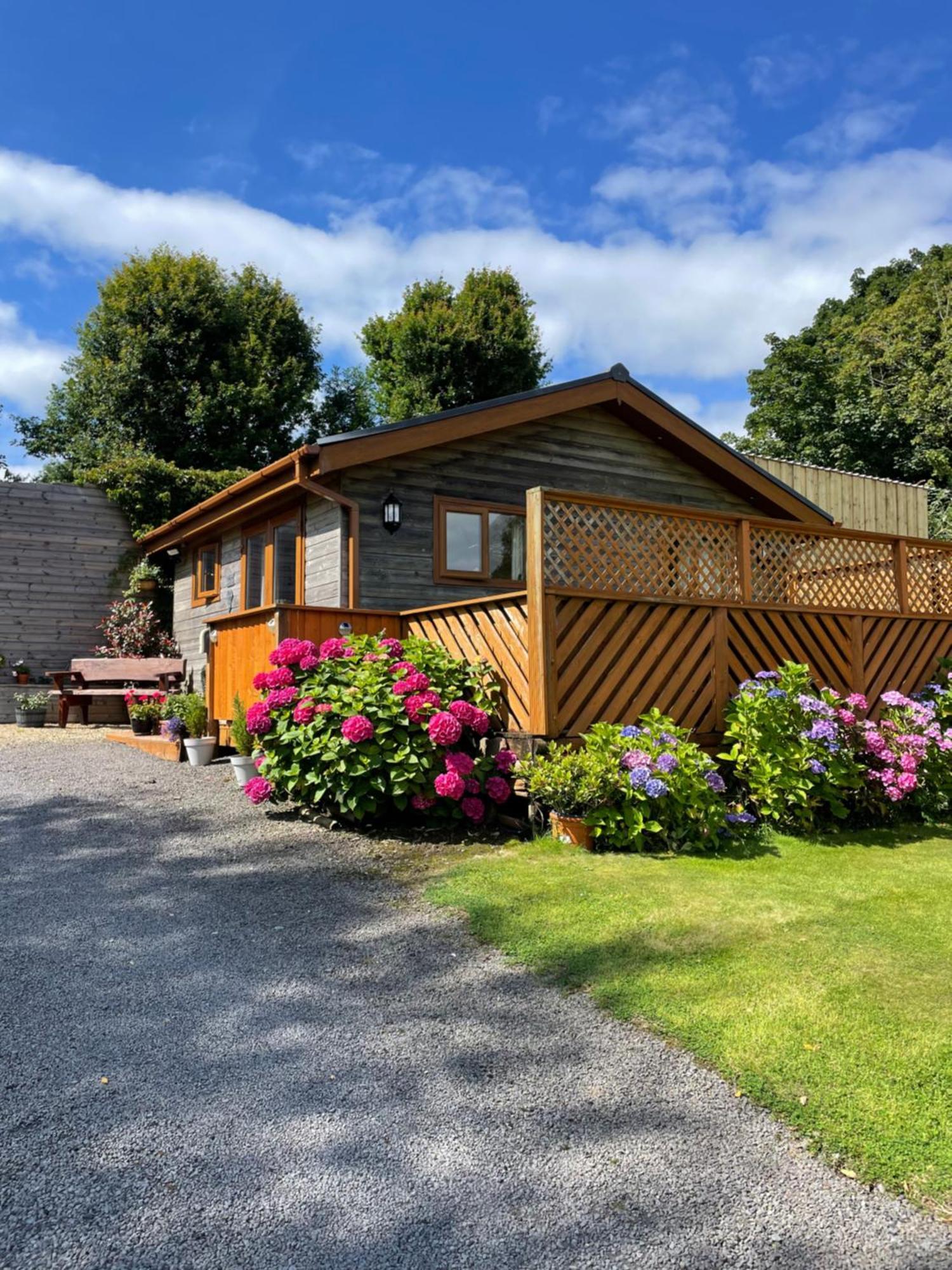 Swansea Log Cabin Pontardawe Exterior photo