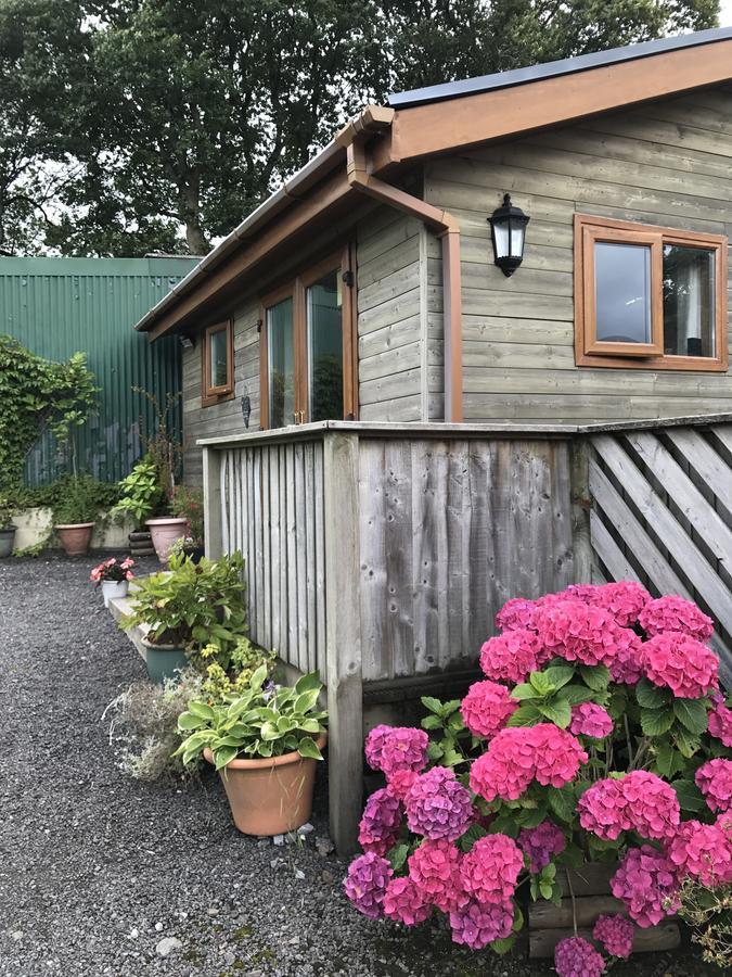 Swansea Log Cabin Pontardawe Exterior photo