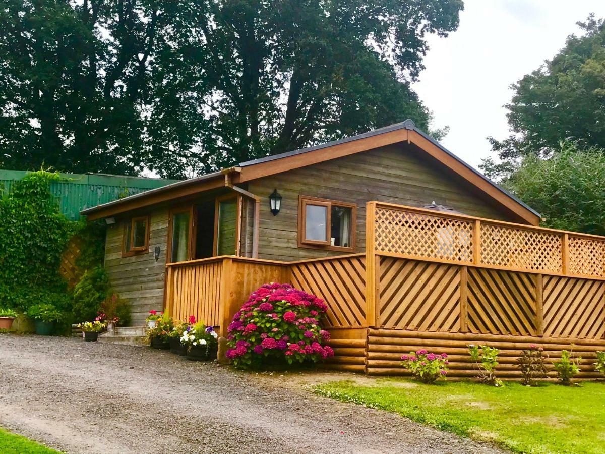 Swansea Log Cabin Pontardawe Exterior photo